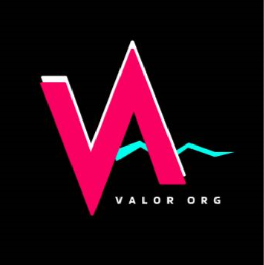 VALOR ORGANIZATION